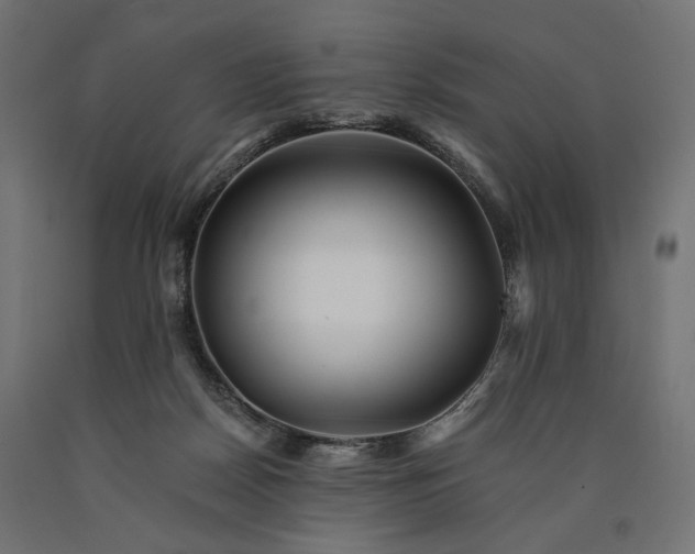 X0000090720170200708031509