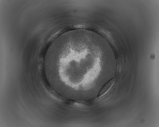 X0000090720171200708031509
