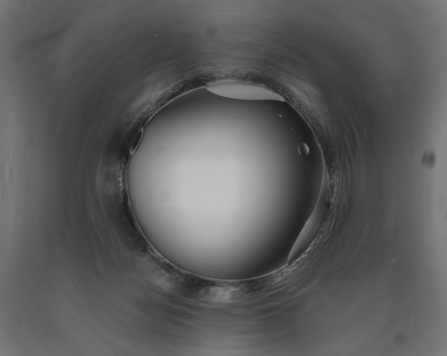 X0000090720172200708031509