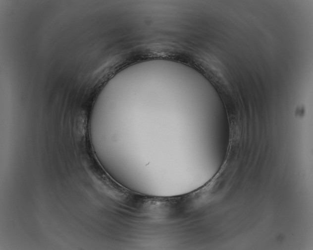 X0000090720174200708031509