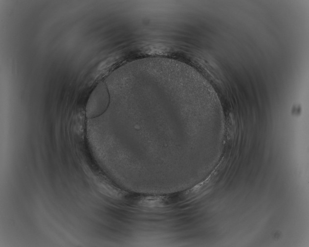 X0000090720175200708031509