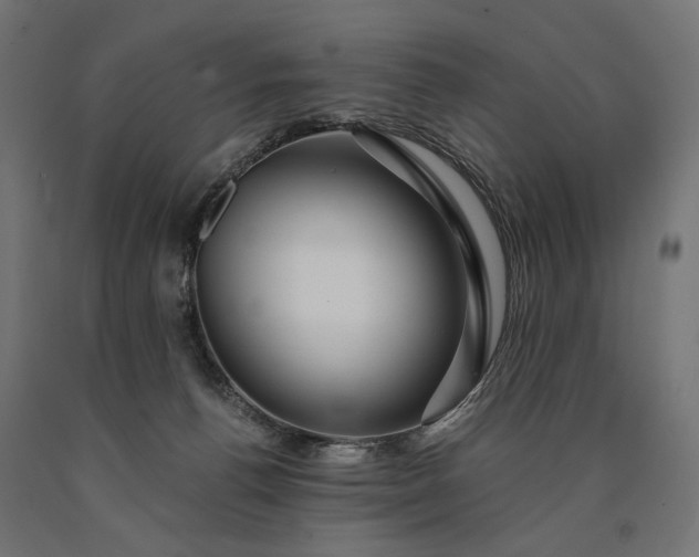 X0000090720176200708031509