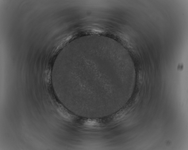 X0000090720177200708031509