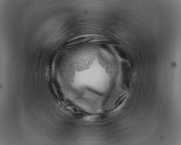 X0000090720178200708031509