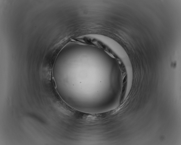 X0000090720180200708031509