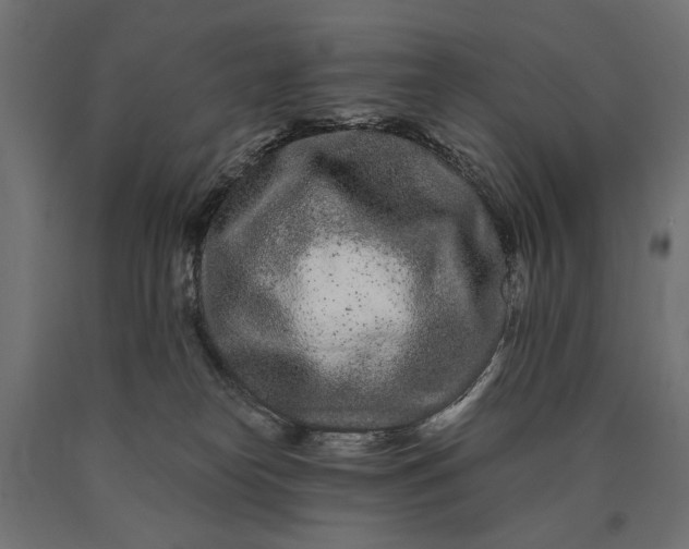 X0000090720182200708031509
