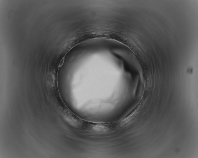 X0000090720183200708031509