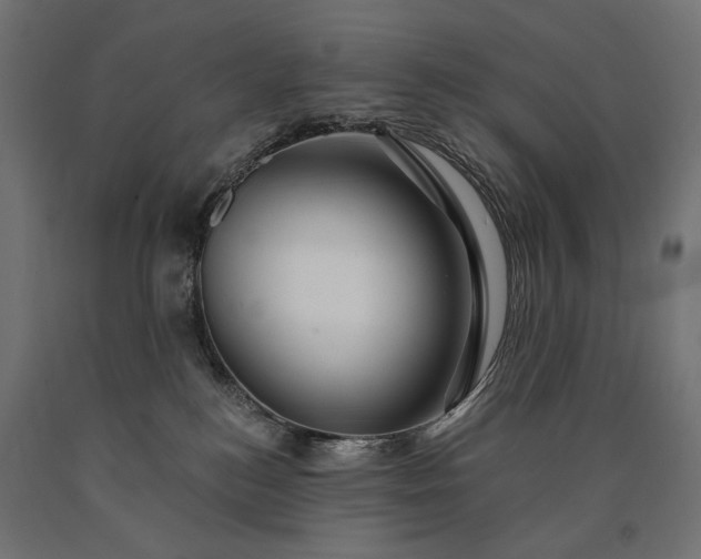 X0000090720184200708031509