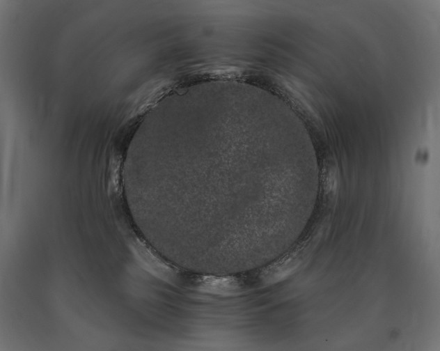 X0000090720185200708031509
