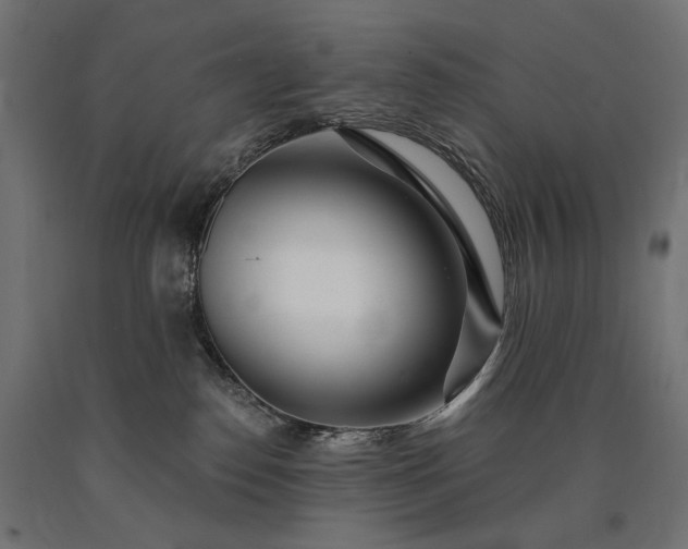 X0000090720186200708031509