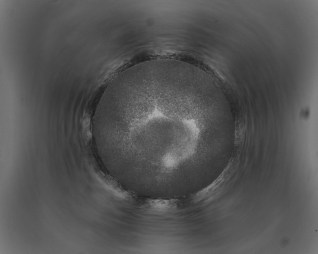 X0000090720187200708031509