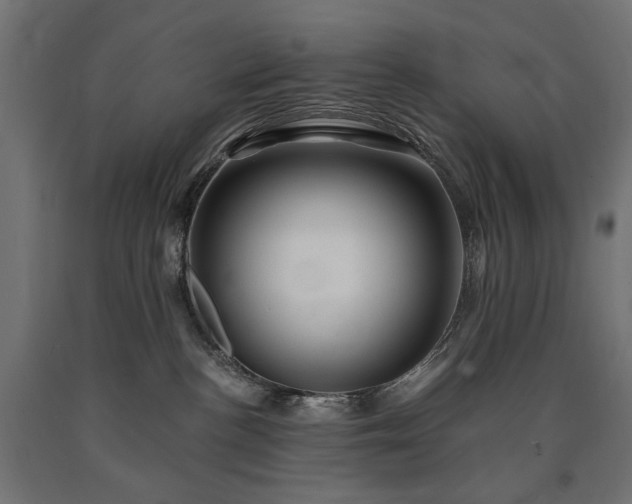 X0000090720188200708031509