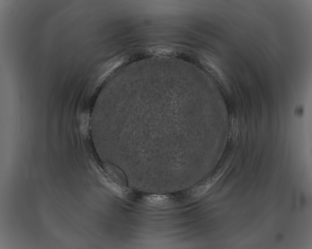 X0000090720189200708031509