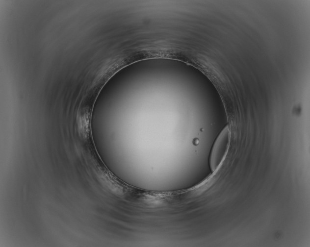 X0000090720190200708031509