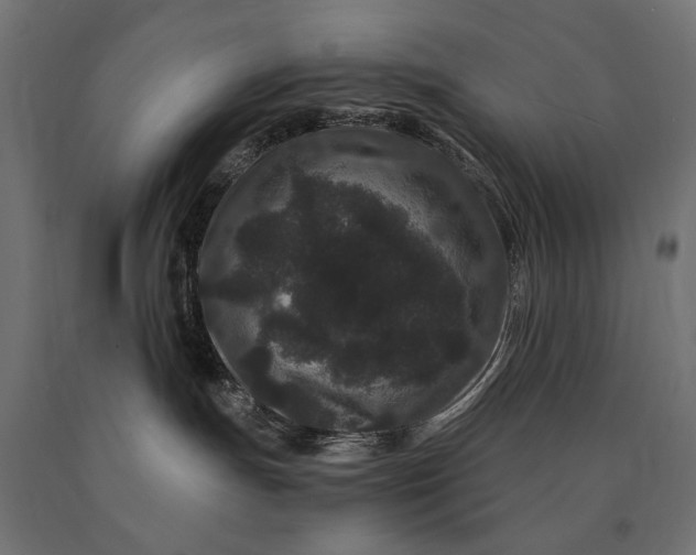 X0000090720191200708031509