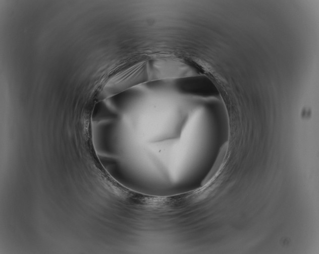 X0000090720192200708031509