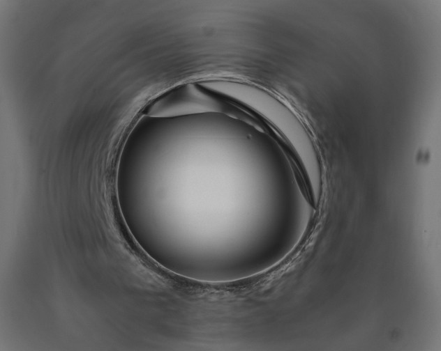 X0000090720193200708031508
