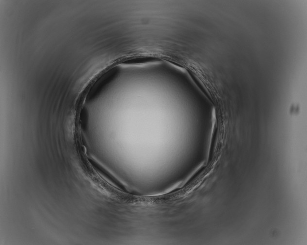 X0000090720194200708031508