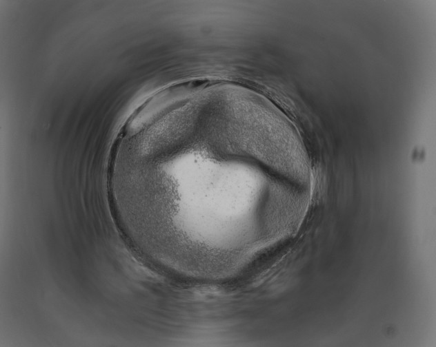 X0000090720195200708031508