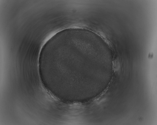 X0000090720196200708031508