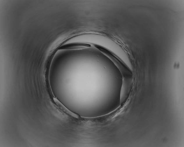 X0000090720197200708031508