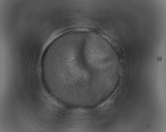 X0000090720198200708031508