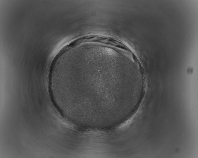 X0000090720199200708031508