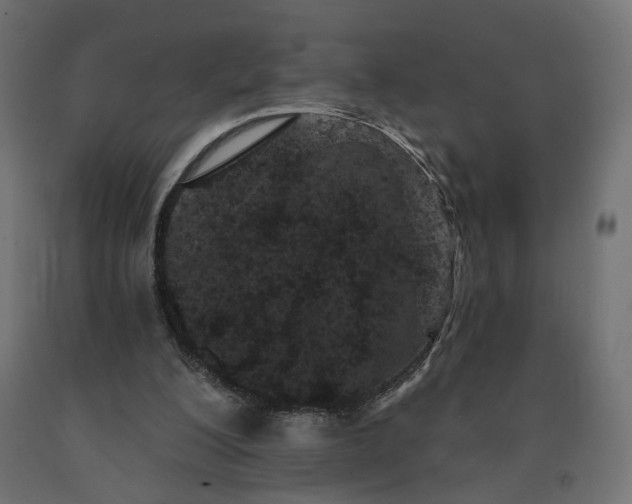 X0000090720200200708031508