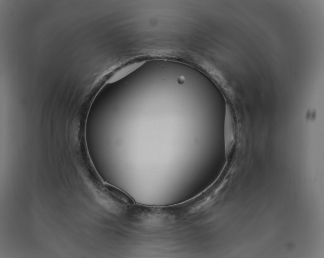 X0000090720201200708031508