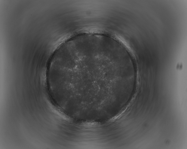 X0000090720202200708031508