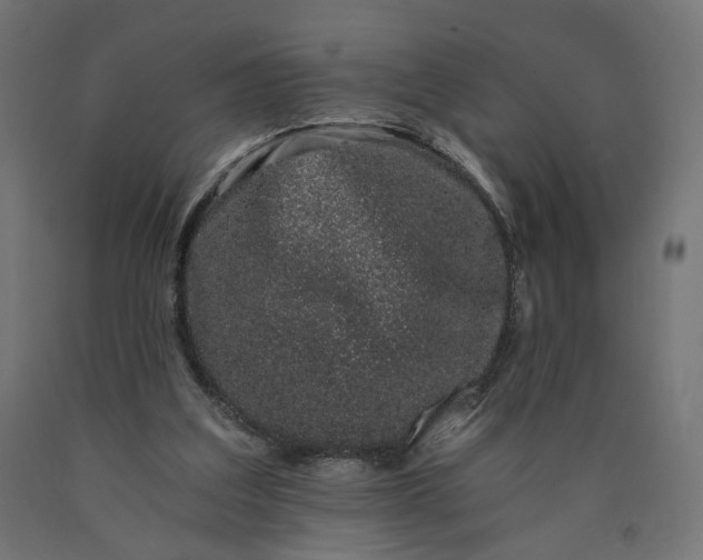 X0000090720203200708031508