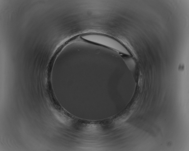 X0000090720204200708031508