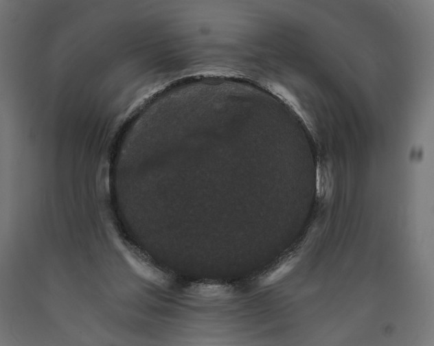 X0000090720205200708031508