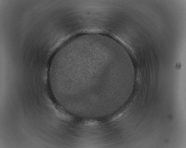 X0000090720206200708031508