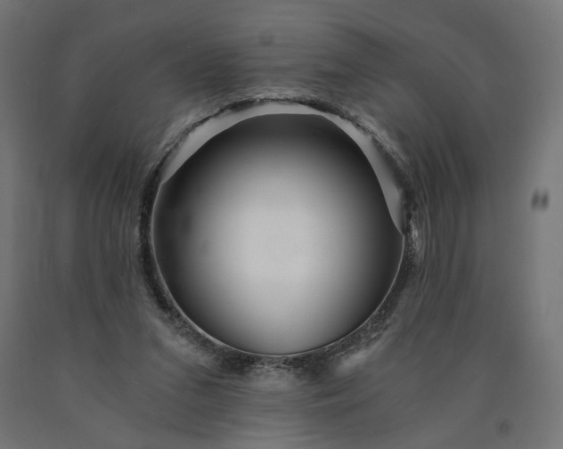 X0000090720207200708031508