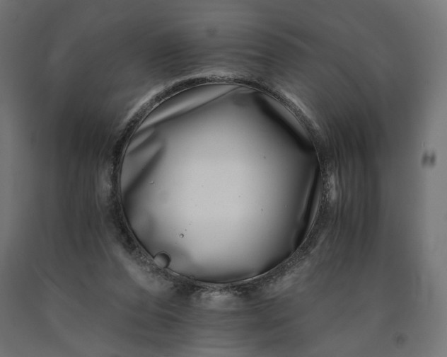 X0000090720208200708031508