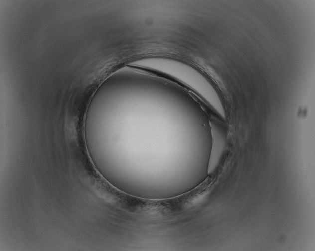 X0000090720209200708031508