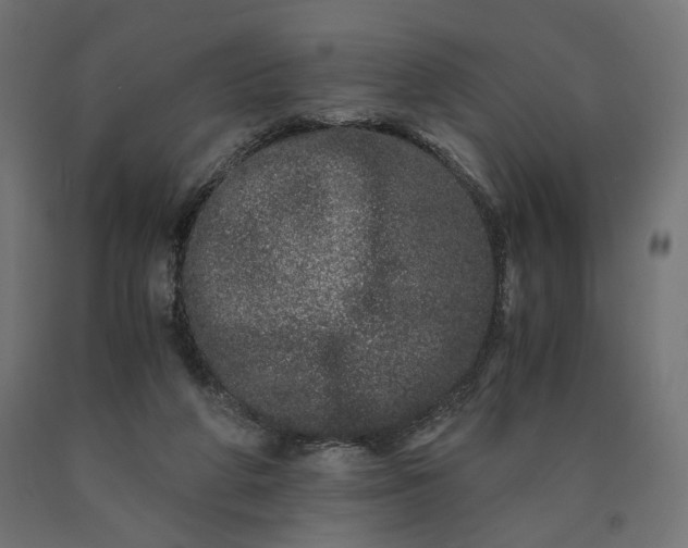 X0000090720210200708031508