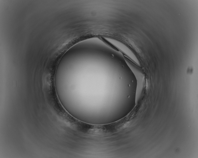 X0000090720211200708031508