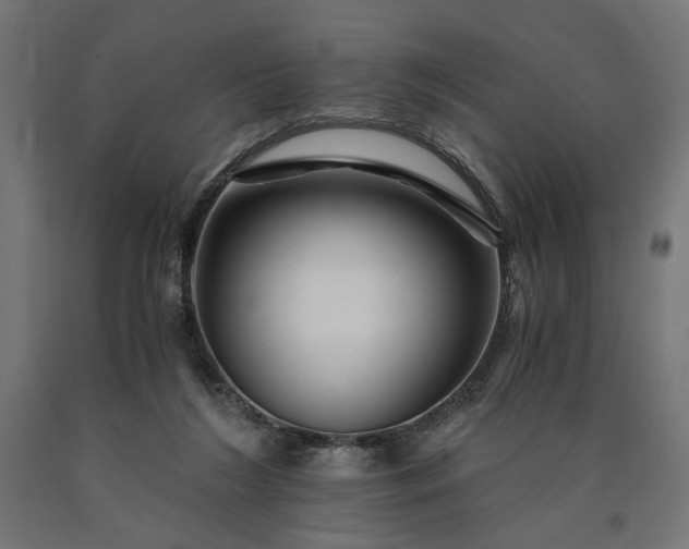 X0000090720212200708031508