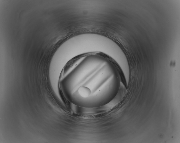 X0000090720215200708031508