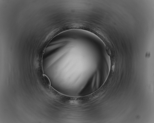 X0000090720216200708031508