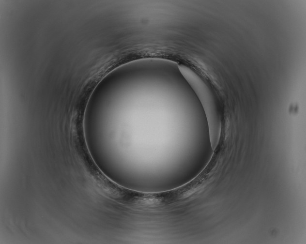 X0000090720217200708031508