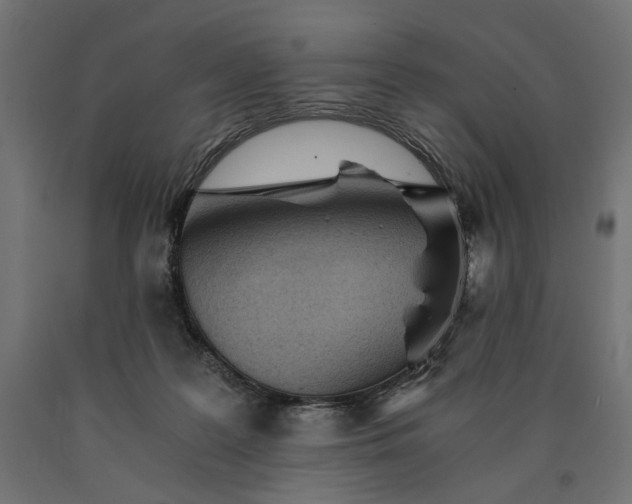 X0000090720219200708031508