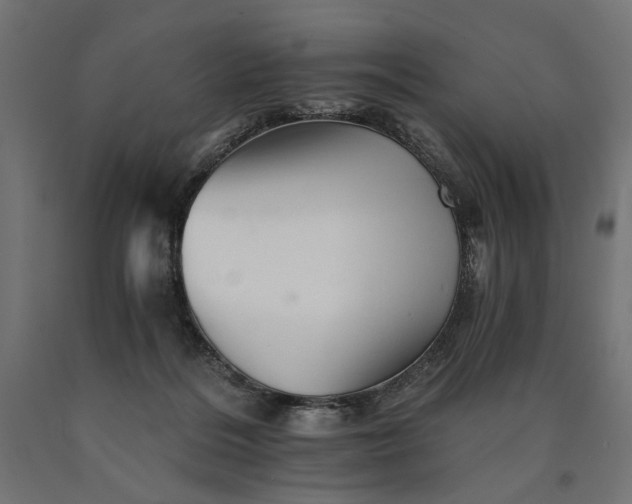 X0000090720220200708031508
