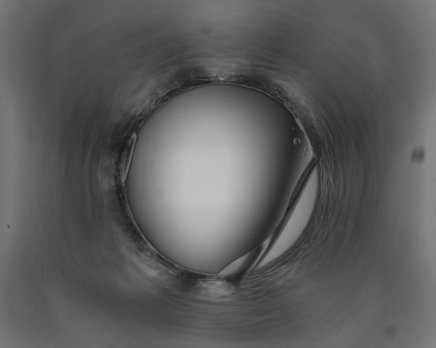X0000090720221200708031508