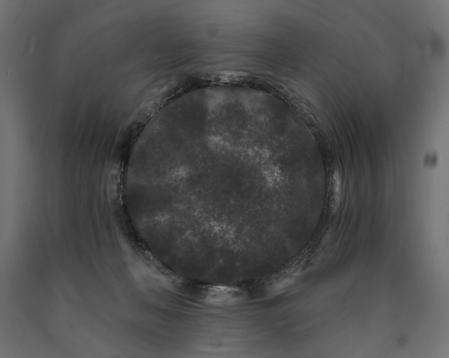 X0000090720222200708031508