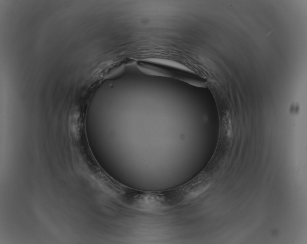 X0000090720223200708031508