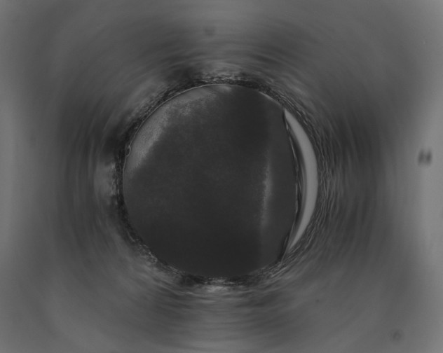 X0000090720224200708031508