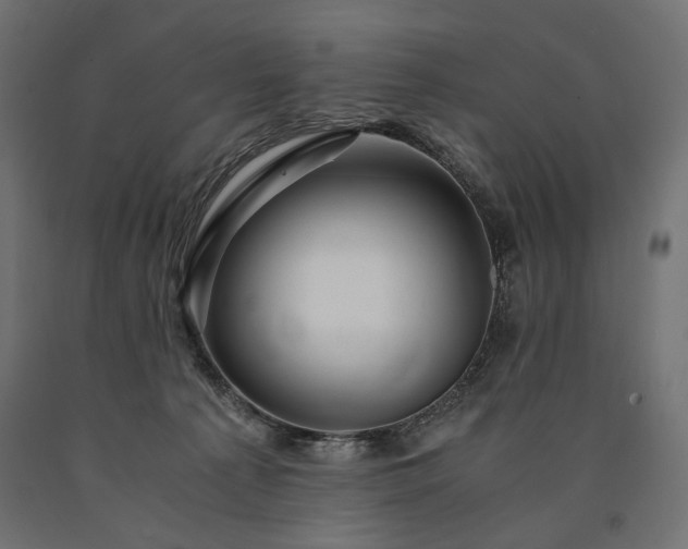 X0000090720225200708031508